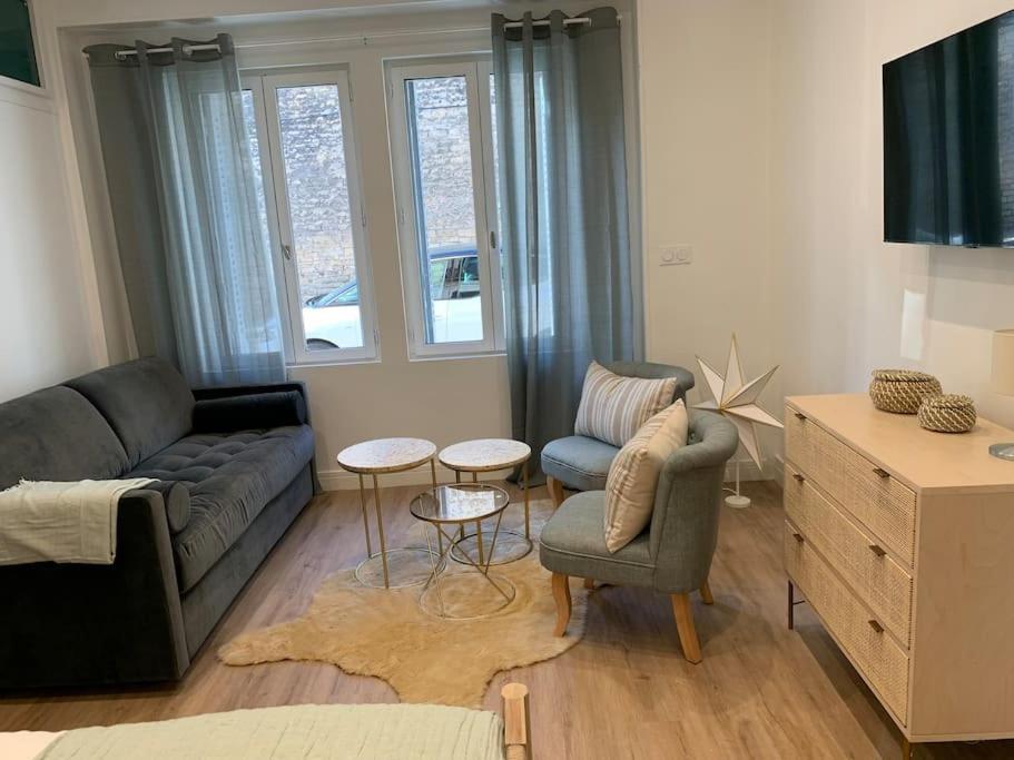 Appartement Chaleureux Dijon Dış mekan fotoğraf